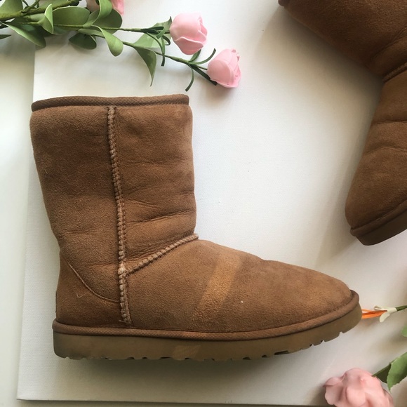 Classic Short Brown UGGs - Picture 3 of 8